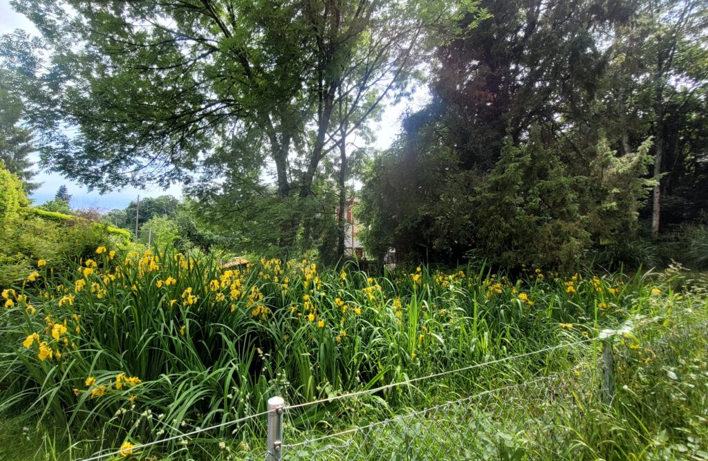 Etang à Rousseil Bio-Éco - avant