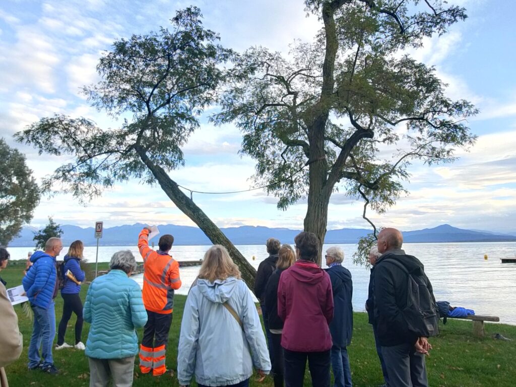 Balade patrimoine arboré Bio-Éco 3
