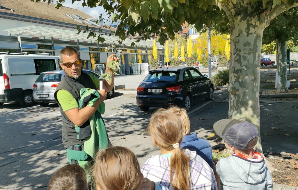 Balade patrimoine arboré Bio-Éco