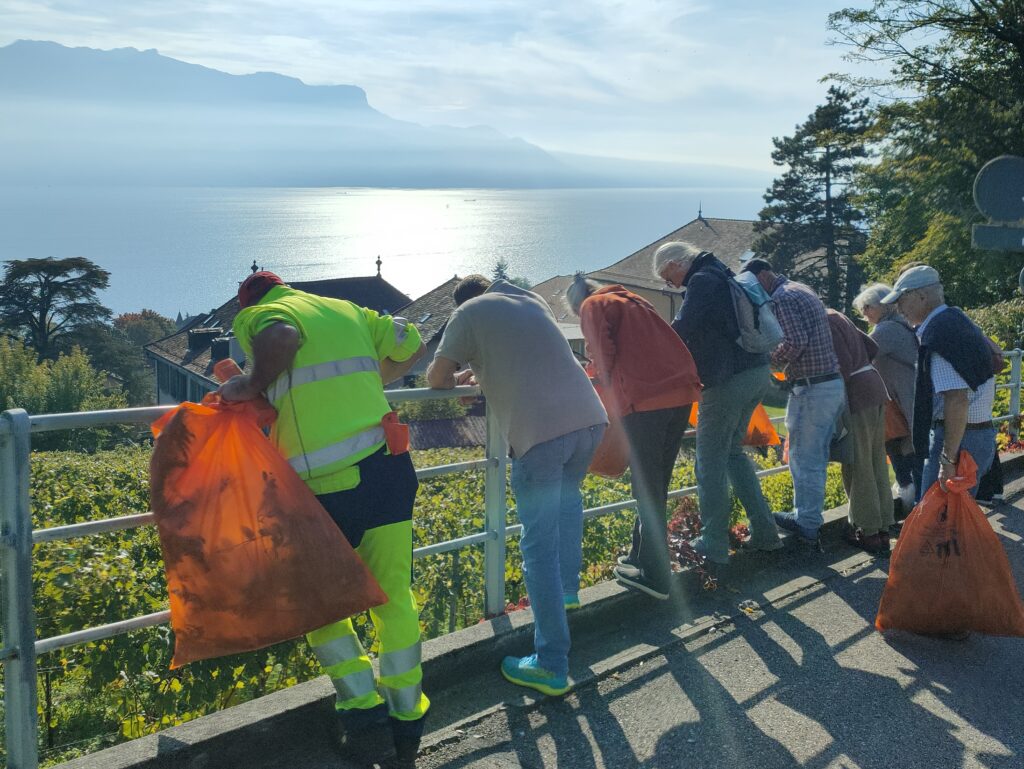 Balade sur le patrimoine arboré et sur les plantes exotiques envahissantes
