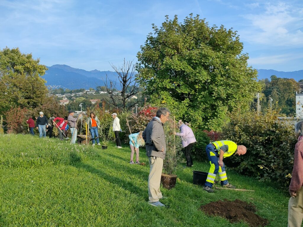 Atelier de plantation