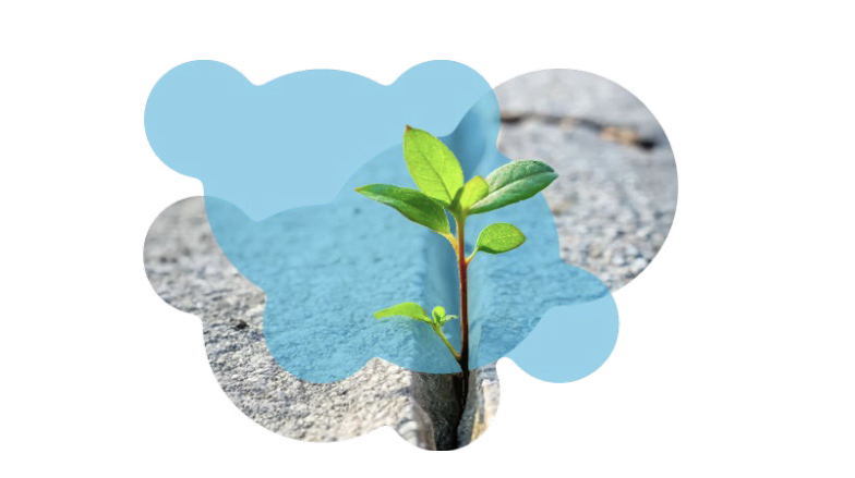 Ofev Liste Mesure Adapt+ Vignette Bio-Eco · conseil et stratégie