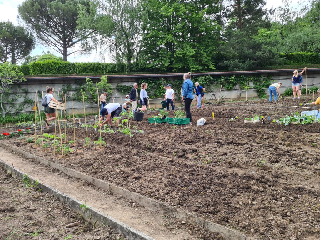 Potager Bio-éco 1 Bio-Eco · conseil et stratégie