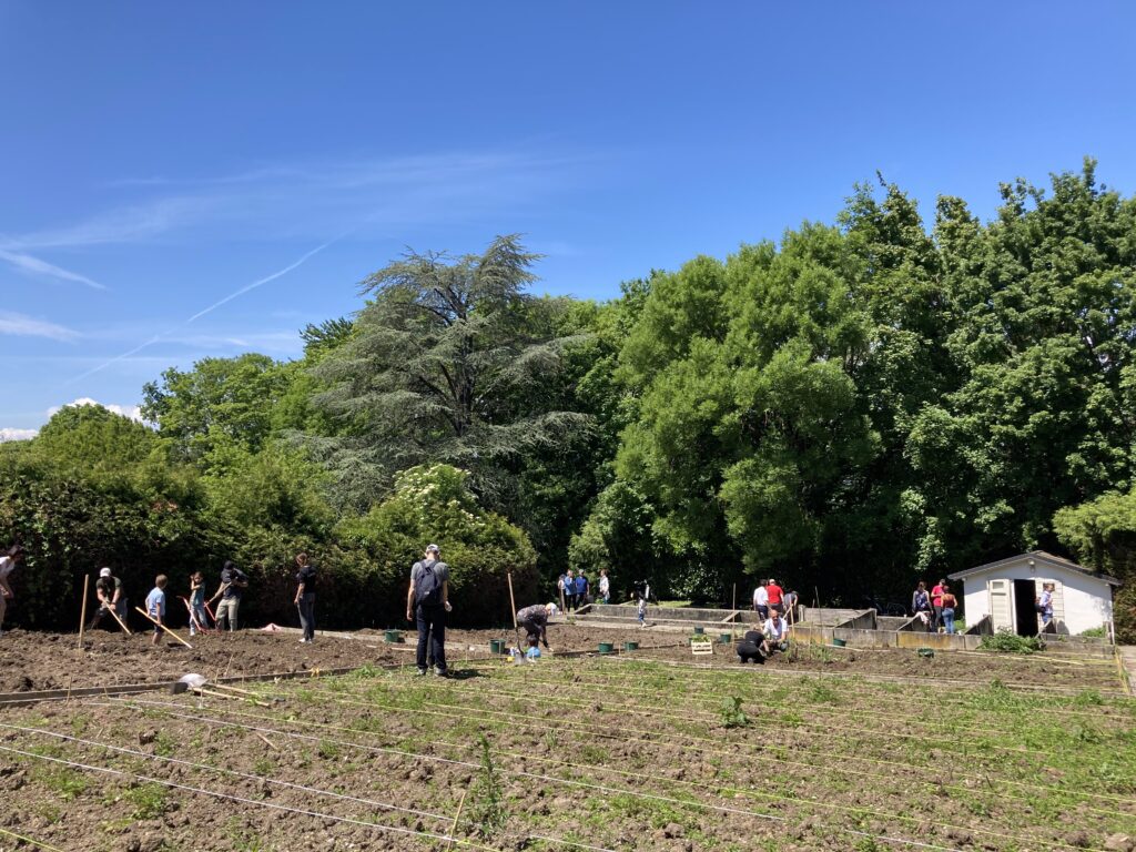 Potager Bio-éco 2 Bio-Eco · conseil et stratégie