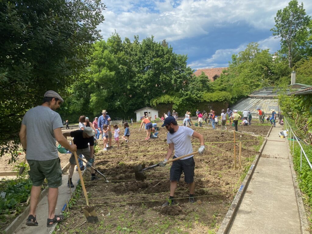 Potager Bio-éco 4 Bio-Eco · conseil et stratégie
