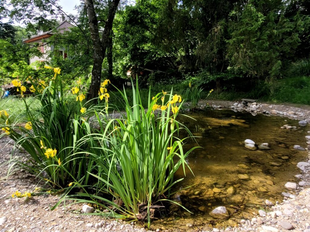 Etang à Rousseil Bio-Éco - après 2