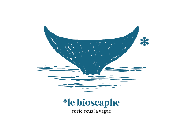 20190711_bioscaphe_bande_web_vague Bio-Eco · conseil et stratégie