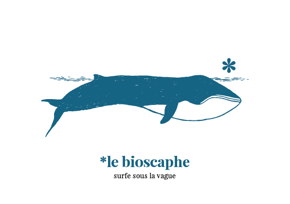20190711_bioscaphe_bande_web_vague2 Bio-Eco · conseil et stratégie