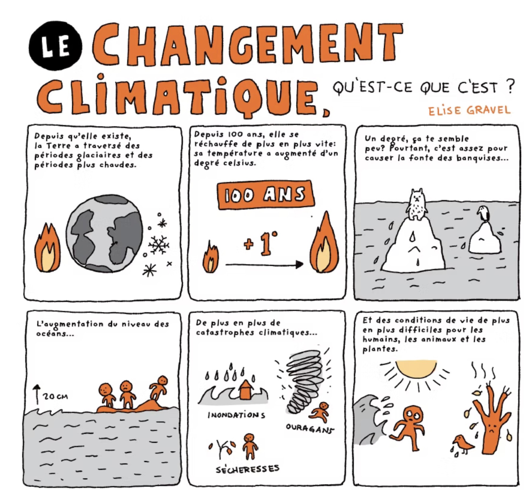 Screenshot Bio-Eco · conseil et stratégie