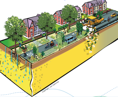 Cours Ville Éponge - Bio-éco - Vignette Bio-Éco · conseil et stratégie en développement durable