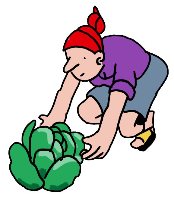 Petites-icones_2-alim Bio-Eco · conseil et stratégie