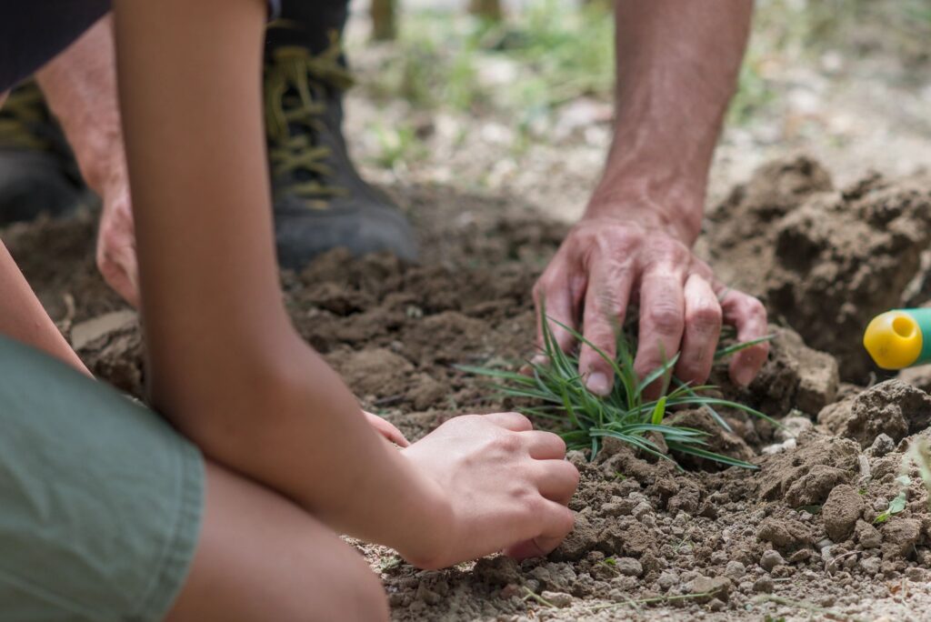 1781074416854 (1) Bio-Éco · conseil et stratégie en développement durable