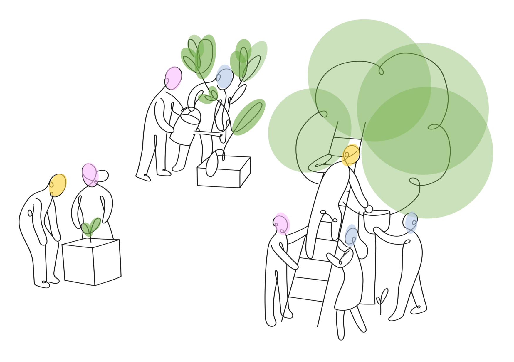 Accompagner2 Bio-Éco · conseil et stratégie en développement durable